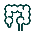 Enhanced Gut Health